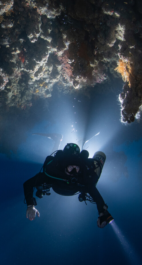 liberty divers scuba diving